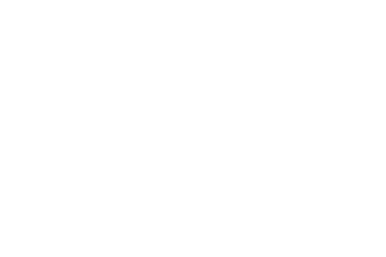RDD Website Licences Windows Server