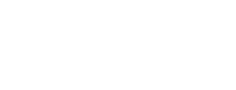 LOGO_CEMAFE_white_transparent