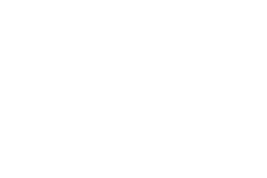 RDD Website Licences Kaspersky