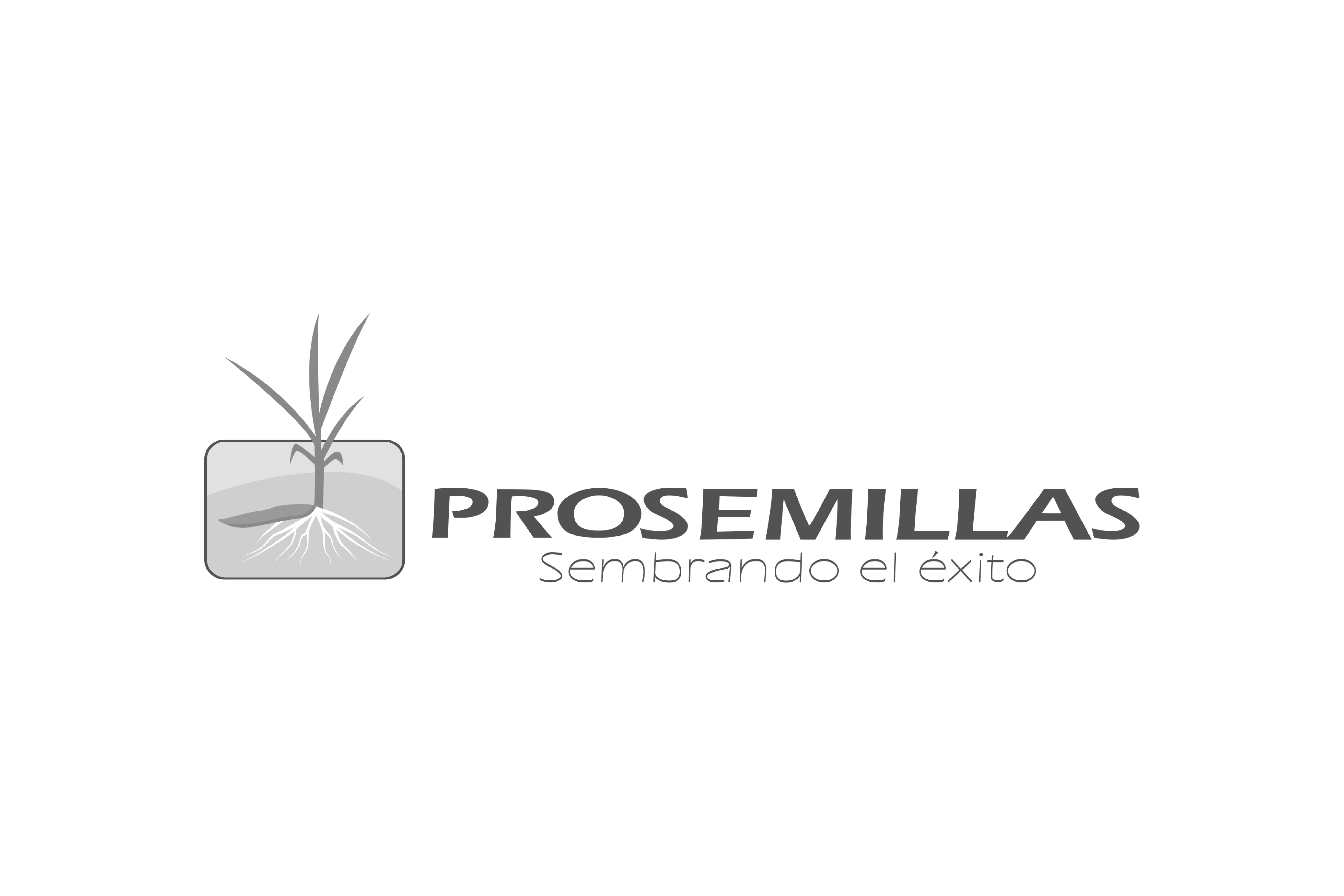 RDD Website Clients ProSemillas