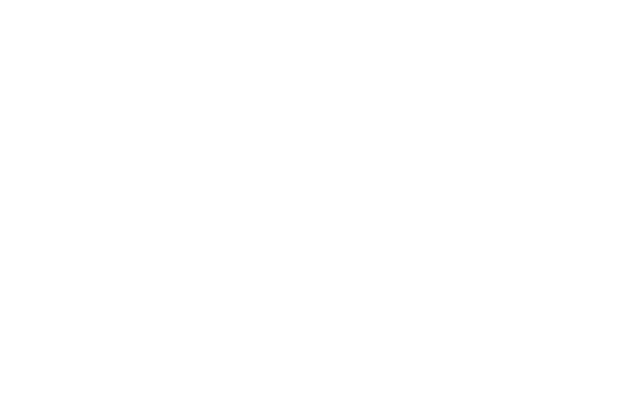 RDD Website Licences Dell
